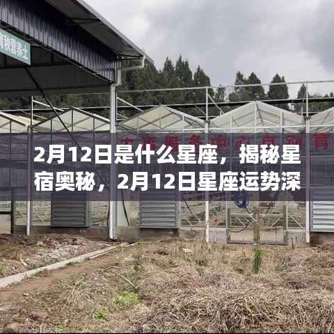 揭秘星宿奥秘,2月12日星座运势深度解析及星座属性揭秘