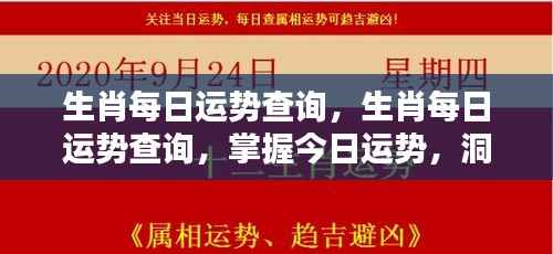 今日生肖运势解析,掌握运势动态,洞悉未来走向。