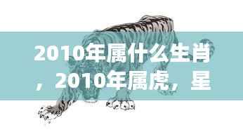 2010年属虎人的星座运势解析及成功助力指南