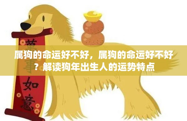 狗年出生人的命运解析,属狗的命运究竟如何?