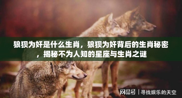 揭秘生肖秘密,狼狈为奸背后的星座与生肖之谜