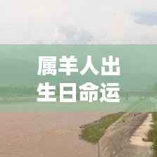 属羊人的命运轨迹,星辰照耀下的出生日命运轮廓