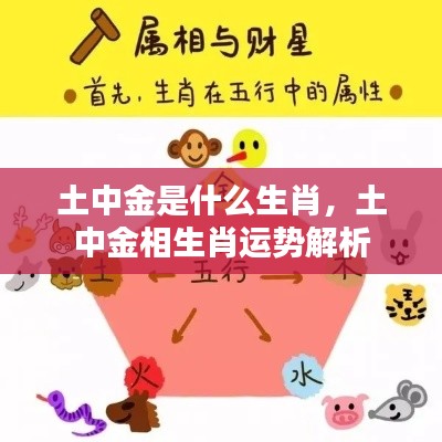 土中金相生肖运势解析,揭秘生肖运势与未来走向