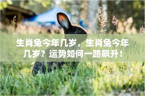 五侯七贵 第5页