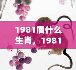 揭秘命运之轮,1981年属鸡人的生肖运势与机遇挑战洞察