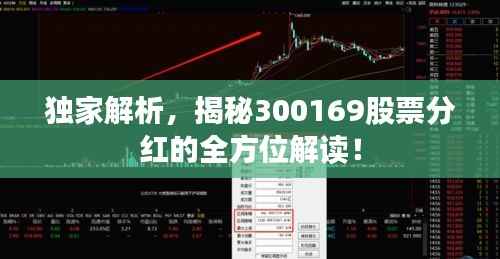 独家解析,揭秘300169股票分红的全方位解读!