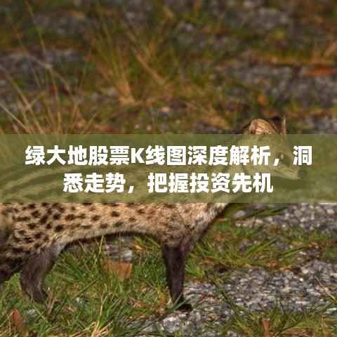 绿大地股票K线图深度解析,洞悉走势,把握投资先机