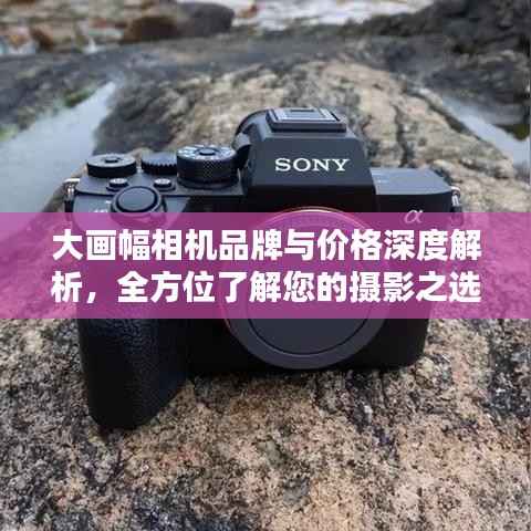 大画幅相机品牌与价格深度解析,全方位了解您的摄影之选