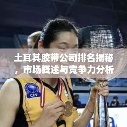 土耳其胶带公司排名揭秘,市场概述与竞争力分析