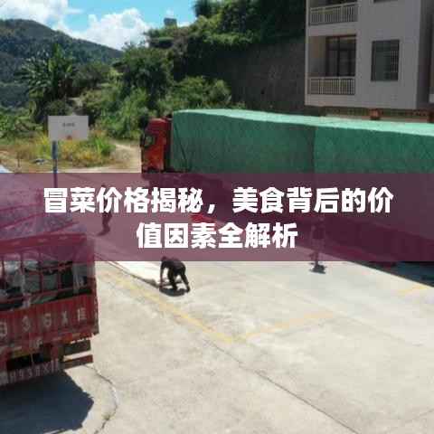 冒菜价格揭秘,美食背后的价值因素全解析