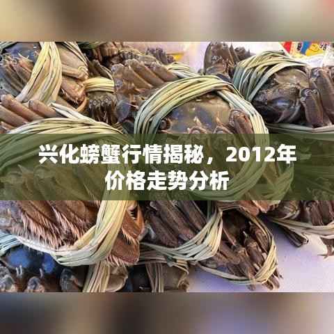 兴化螃蟹行情揭秘,2012年价格走势分析
