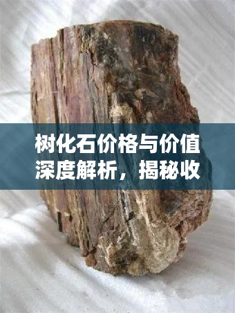 意气风发 第6页