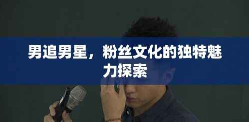 男追男星,粉丝文化的独特魅力探索