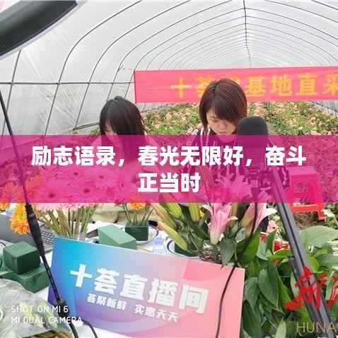 励志语录,春光无限好,奋斗正当时