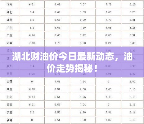 湖北财油价今日最新动态，油价走势揭秘！