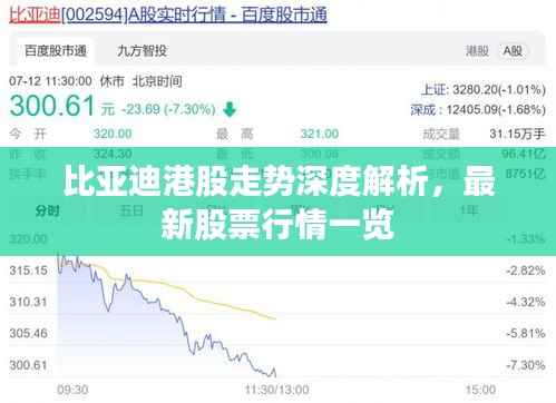 比亚迪港股走势深度解析,最新股票行情一览