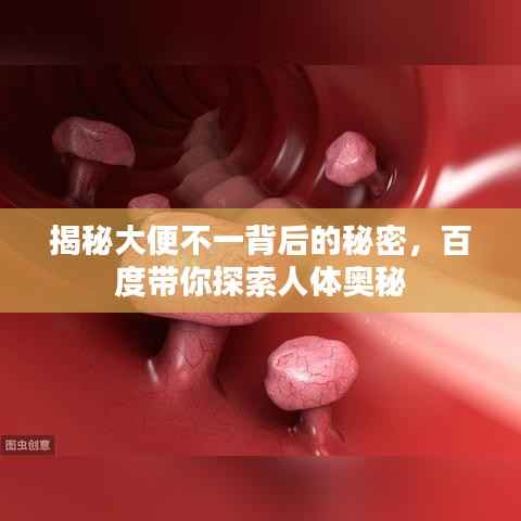 揭秘大便不一背后的秘密,百度带你探索人体奥秘