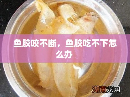 鱼胶咬不断,鱼胶吃不下怎么办