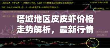 塔城地区皮皮虾价格走势解析，最新行情报告！