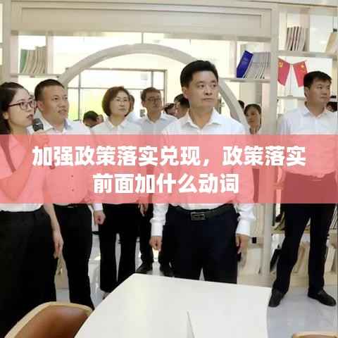 加强政策落实兑现,政策落实前面加什么动词