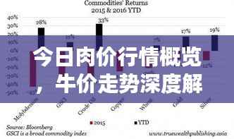 今日肉价行情概览，牛价走势深度解析