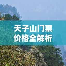 天子山门票价格全解析