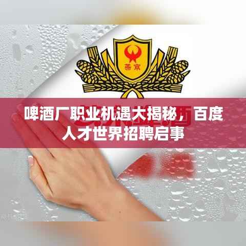 啤酒厂职业机遇大揭秘，百度人才世界招聘启事