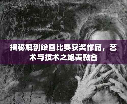 揭秘解剖绘画比赛获奖作品,艺术与技术之绝美融合