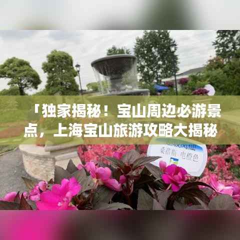 「独家揭秘!宝山周边必游景点,上海宝山旅游攻略大揭秘!」