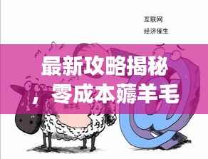 最新攻略揭秘，零成本薅羊毛的巧妙利用之道